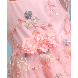 Babyhug Woven Cap Sleeves Party Frock with Floral Applique  - Peach