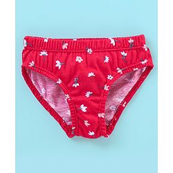 Babyhug 100% Cotton Panties Stripes & Floral Print Pack of 3- Pink & Red
