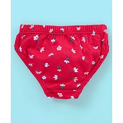 Babyhug 100% Cotton Panties Stripes & Floral Print Pack of 3- Pink & Red