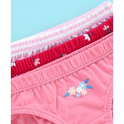 Babyhug 100% Cotton Panties Stripes & Floral Print Pack of 3- Pink & Red
