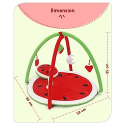 Babyhug Deluxe Watermelon Twist & Fold Play Gym - Multicolour