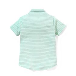 Babyhug 100% Cotton Half Sleeves Knitted Pique Striped Shirt - Light Green