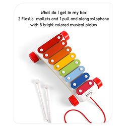 Babyhug Premium Pull Along Xylophone with 8 Notes & 2 Mallet- Yellow| First Musical Xylophone with Wheels for Baby & Toddlers| Preschool Musical Instruments & Activity Toys for 0-4 Years Kids| BIS Certified