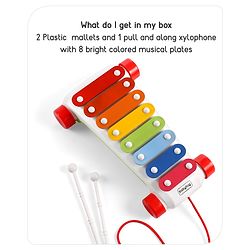 Babyhug Premium Pull Along Xylophone with 8 Notes & 2 Mallet- Yellow| First Musical Xylophone with Wheels for Baby & Toddlers| Preschool Musical Instruments & Activity Toys for 0-4 Years Kids| BIS Certified