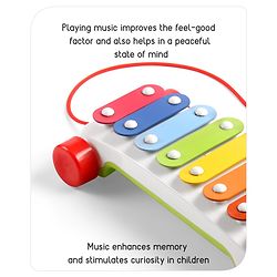 Babyhug Premium Pull Along Xylophone with 8 Notes & 2 Mallet- Yellow| First Musical Xylophone with Wheels for Baby & Toddlers| Preschool Musical Instruments & Activity Toys for 0-4 Years Kids| BIS Certified