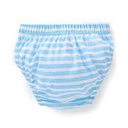 Babyhug 100% Cotton Knit Antibacterial Panties Stripes & Butterfly Print Pack of 3 - Pink & Blue