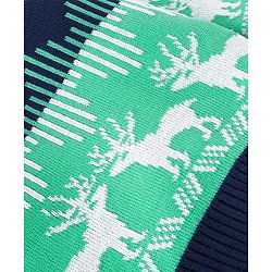 Babyhug Knitted Full Sleeves Sweater Set with Reindeer Design - Navy Blue & Green