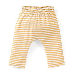 Babyhug Cotton Full Length Diaper Pants Stripes & Lion Print Pack of 3 - Blue Grey & Yellow