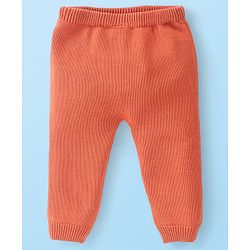 Babyhug Organic Cotton Full Sleeves Sweater Set Striped & Tiger Print - Peach & White