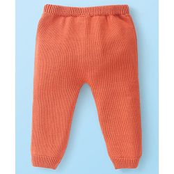 Babyhug Organic Cotton Full Sleeves Sweater Set Striped & Tiger Print - Peach & White