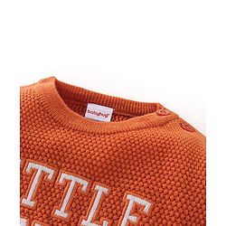 Babyhug Knit Full Sleeves Sweater with Text Design - Orange