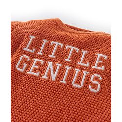 Babyhug Knit Full Sleeves Sweater with Text Design - Orange