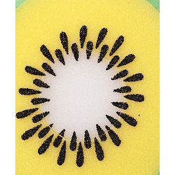Kiwi Shaped Bath Sponge - Green & Yellow
