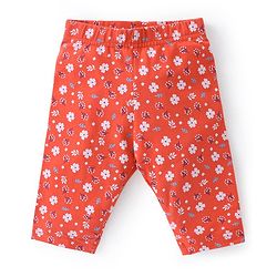 Babyhug Cotton Lycra Three Fourth Length Leggings Stripes & Floral Print Pack of 3- Red Pink & White