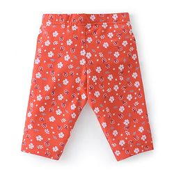 Babyhug Cotton Lycra Three Fourth Length Leggings Stripes & Floral Print Pack of 3- Red Pink & White