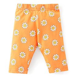 Babyhug Cotton Lycra Three Fourth Length Leggings Solid & Floral Print Pack Of 3 - Pink Orange & Purple