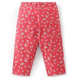 Babyhug Cotton Three Fourth Lycra Leggings Floral Print Pack of 3 - Pink Red & Blue