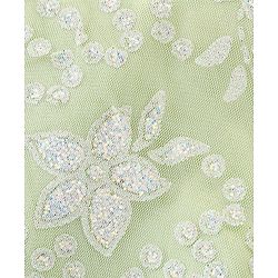 Babyhug Cap Sleeves Frock with Floral Glitter Print & Applique - Mint Green