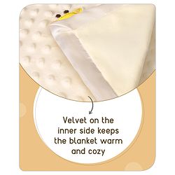 Babyhug Velvet Lion Embroidered Lightweingt Bubble Blanket - Blue