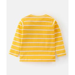 Babyhug Cotton Knit Full Sleeves T-Shirt With Wild Animal Graphics Pack Of 3 - Green Yellow & Blue