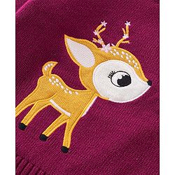 Babyhug Knit Full Sleeves Pullover Sweater - Fushia