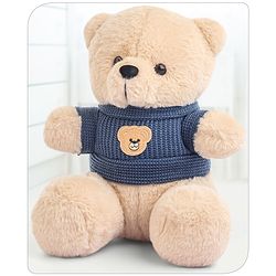 Babyhug Teddy Bear Soft Toy in Woollen T-Shirt Height 24 cm (Design May Vary)