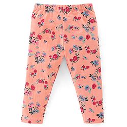 Babyhug Cotton Lycra Knit Full Length Leggings Floral & Fruity Print Pack of 5 - Pink Blue & Peach