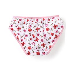 Babyhug 100% Cotton Knit Floral Printed Panties Pack of 3 - Pink & White
