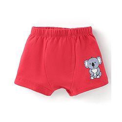 Babyhug 100% Cotton Knit Koala Printed Trunk Pack of 3 - Multicolour