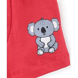Babyhug 100% Cotton Knit Koala Printed Trunk Pack of 3 - Multicolour