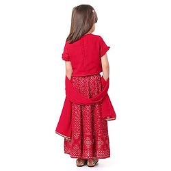 Babyhug Half Sleeves Sequined Embroidered Choli Lehenga and Dupatta Set - Red