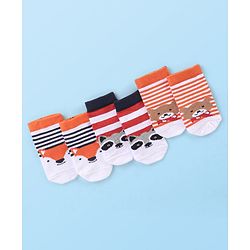 Cute Walk by Babyhug Cotton Knit Anti Bacterial Ankle Length Bear Design Socks Pack of 3 - Multicolour