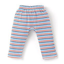 Babyhug Cotton Knit Full Length Diaper Leggings Dino Print Pack of 3 -Multicolour