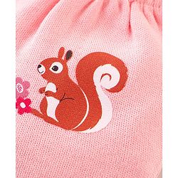 Babyhug 100% Cotton Knit Squirrel Printed Mittens Pack Of 3 - Multicolour