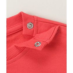 Babyhug Cotton Knit Full Sleeves Cut & Sew with Text Graphics Sweatshirt  - Red & Grey