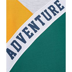 Babyhug Cotton Knit Full Sleeves Cut & Sew Sweatshirt With Text Graphics - Green & Yellow