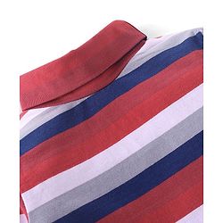 Babyhug Cotton Full Sleeves Turtle Neck T-Shirt With Stripes- Red & Navy Blue
