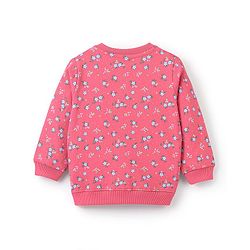 Babyhug Cotton Knit Full Sleeves Floral & Dino Graphics Sweatshirts Pack of 2 - Pink & Yellow