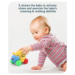 Babyhug Colorful Snail on Wheel Friction-Powered Toy|BPA-Free Plastic|Visual Sensory Development|Early Learning Motor Skills Enhancer |Ideal Gift|Age 3+|BIS|(Wheel Color May Vary)