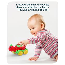Babyhug Turtle On Wheel- Red & Green
