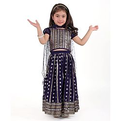 Babyhug Half Sleeves Embroidered Choli with Embroidered Lehenga and Dupatta Set  - Navy Blue