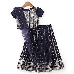 Babyhug Half Sleeves Embroidered Choli with Embroidered Lehenga and Dupatta Set  - Navy Blue