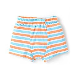 Babyhug 100% Cotton Briefs with Cubs & Stripes Print Pack of 3 - Multicolor