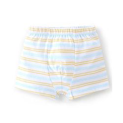 Babyhug 100% Cotton Knit Bear Printed Trunk Pack of 5 - Multicolour