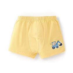 Babyhug 100% Cotton Knit Bear Printed Trunk Pack of 5 - Multicolour
