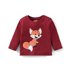 Babyhug Cotton Knit Full Sleeves T-Shirt with Koala Graphics Pack of 5 - Multicolour