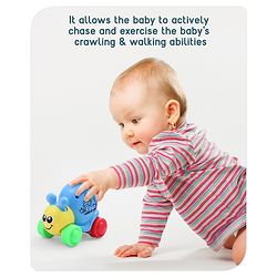 Babyhug Colorful Snail on Wheel Friction-Powered Toy|BPA-Free Plastic|Visual Sensory Development|Early Learning Motor Skills Enhancer |Ideal Gift|Age 3+|BIS|(Wheel Color May Vary)