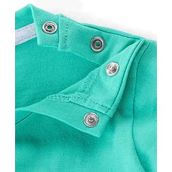 Babyhug 100% Cotton Knit Full Sleeves T-Shirt With Racoon Graphics - Green & Blue