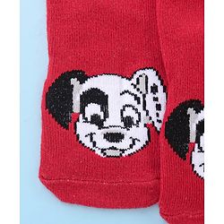 Cute Walk by Babyhug Cotton Knit Anti-Bacterial Ankle Length Dalmatians & Paw Design Socks Pack of 3 - Multicolour