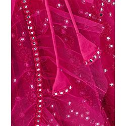 Babyhug Sleeveless Net Mirror Emroidered Lehenga Choli Set with Dupatta  -Fuschia